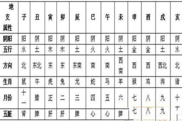 医院五行属性解析