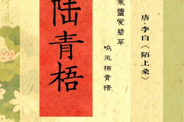 姓名艺术：探寻名字背后的故事