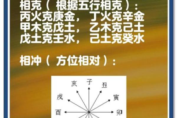 矛盾中的和谐：地支相冲的完美邂逅