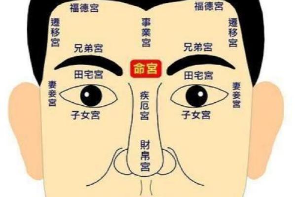 额头皱纹里的命运轨迹：揭秘人生运势的神奇密码