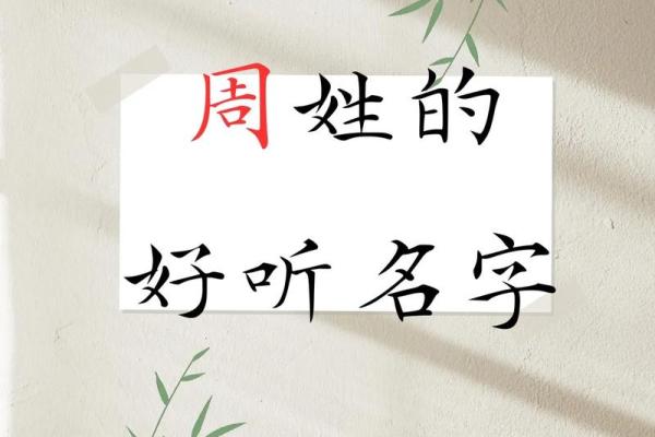 周姓女宝宝雅名推荐