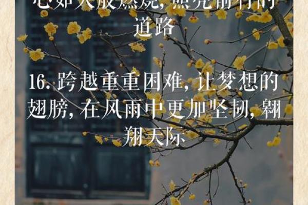 正能量名字大全：赋予人生无限希望与力量