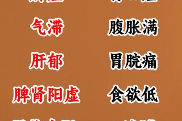 胃属于什么五行解析