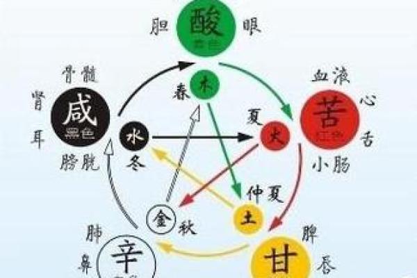 胃属于什么五行解析