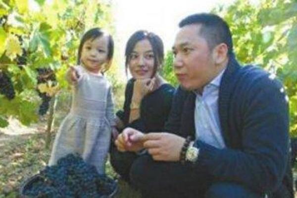 黄有龙命理分析：揭秘富豪背后的命运密码
