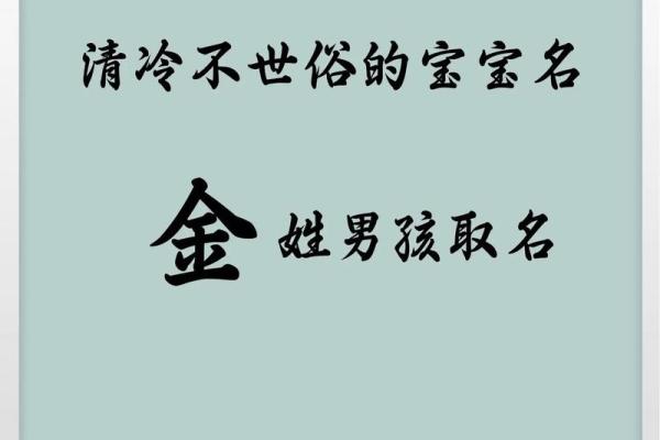 适合男孩的金字旁名字大全