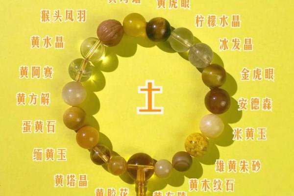 五行理论中的象牙属性分析