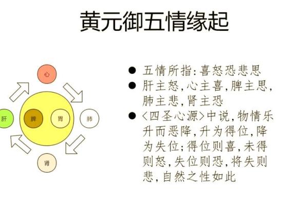 探秘晨的五行之力与情感波动