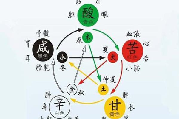 探索五行属什么对运势的影响