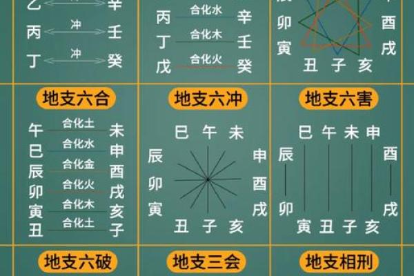 地支阴阳五行，揭秘人生运势密码