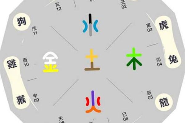 地支阴阳五行，揭秘人生运势密码
