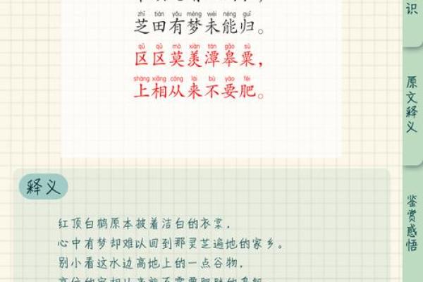 曹鹤：名字中的鹤舞九天，寓意深远