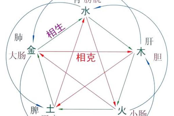 不五行在命理学中的地位