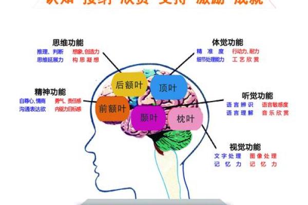 揭秘命运密码：李双林教你掌握人生走向