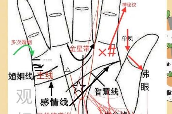 手相探秘，女生左手预示未来运势