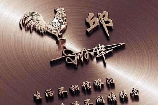 杨舒洁：优雅与内涵并存的灵动之星