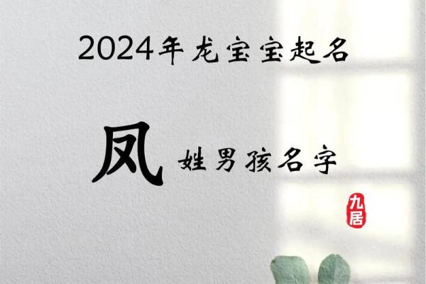 鸡年宾氏新生儿：寓意吉祥的名字精选