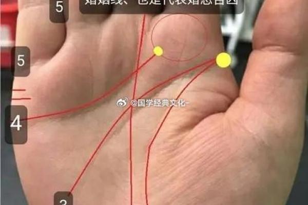 情感纠葛，手相揭秘