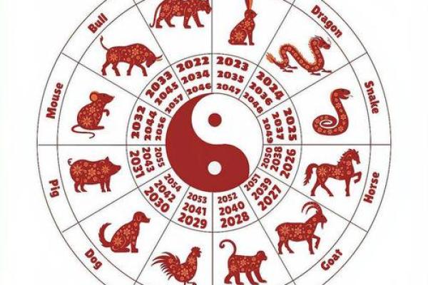 地支库探秘之旅，探寻生肖之间的神秘联系