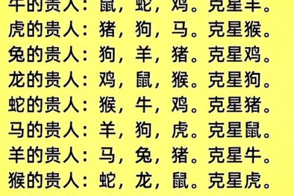 地支库探秘之旅，探寻生肖之间的神秘联系