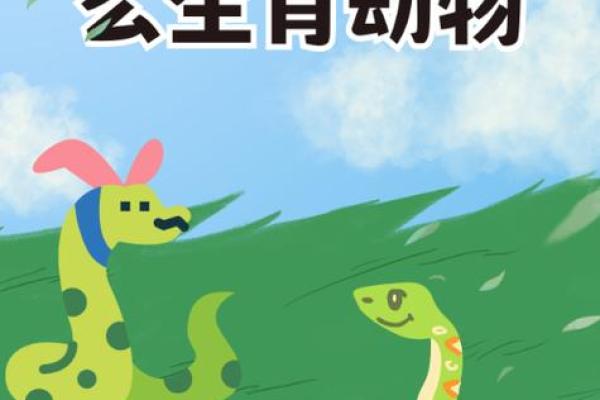 行了解分析生肖
