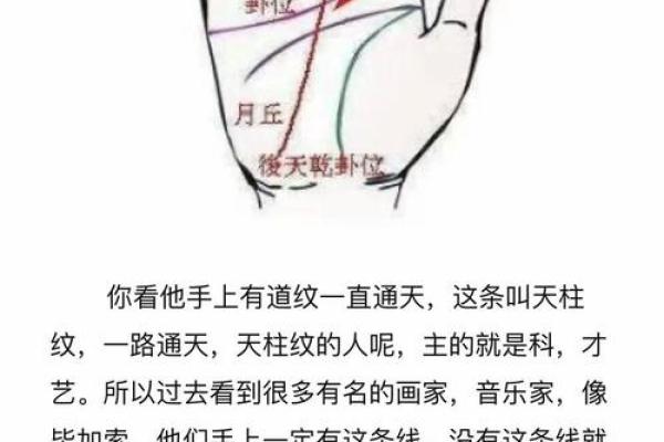 手相揭秘，你的运势在这里！