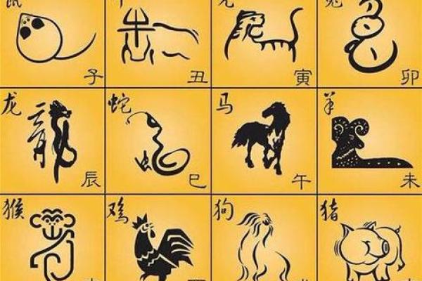 地支风云再起，生肖大戏即将开演