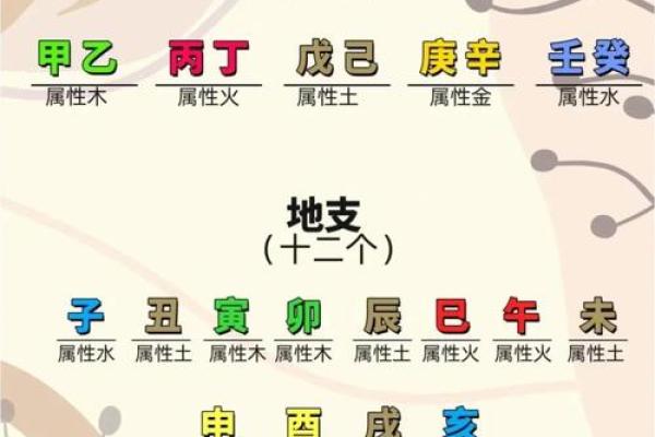地支合冲奥秘解密，揭秘五行相冲之谜