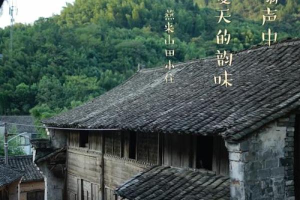 徐嘉泽：名字中的诗意与美好寓愿