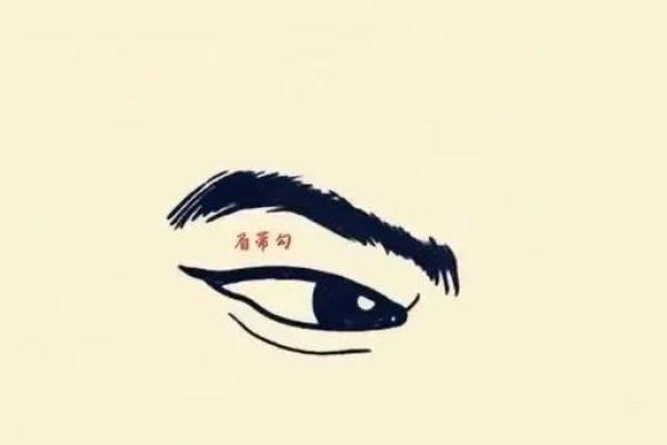 眉尾弯曲：预示着性格内向与独特的面相特征