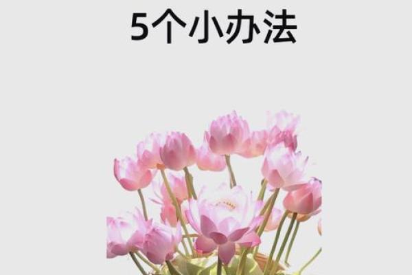 风水大师亲授：让你财运亨通的神奇成语