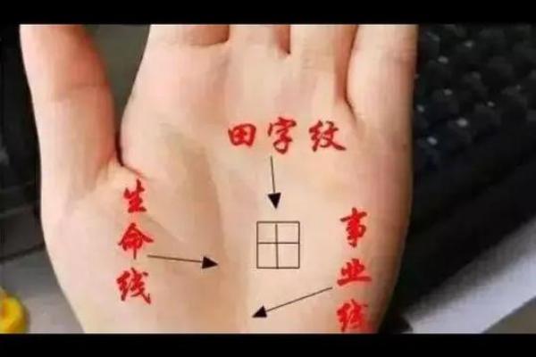 田字面相：女性命运的密码解析