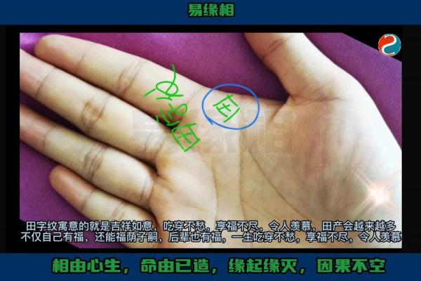 田字面相：女性命运的密码解析