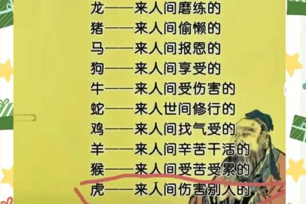 暗藏情愫：地支生肖背后的浪漫故事