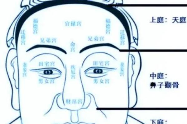 鼻头短小，财运亨通的秘密！