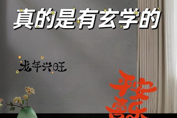 家居风水入门必读：助你风生水起的生活智慧