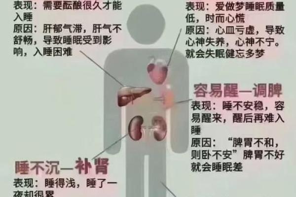 女性健康风水揭秘：家居摆放助肾气旺盛！