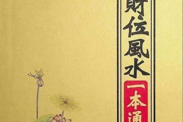 女性健康风水揭秘：家居摆放助肾气旺盛！