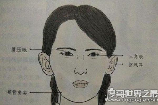 面相奥秘：颧骨长胡子揭示的秘密