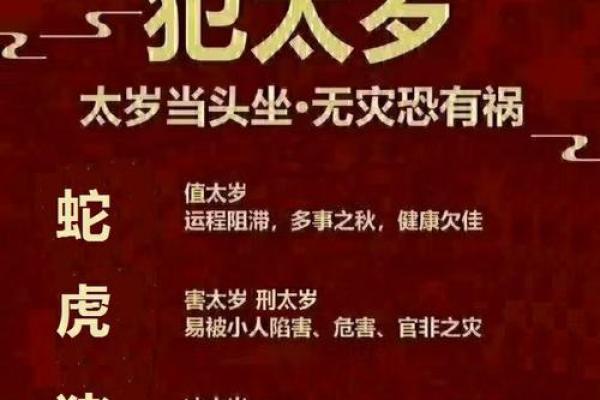 亥猪与寅虎姻缘路：揭秘地支合婚之谜