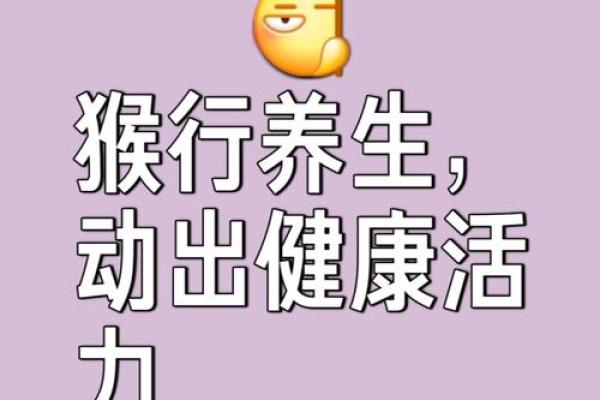 猴子玩转十二地支，笑料连篇，不容错过