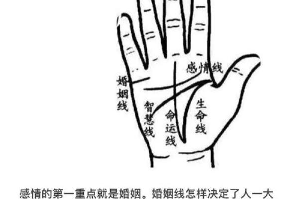 手相运势：小副线解析你的运势起伏