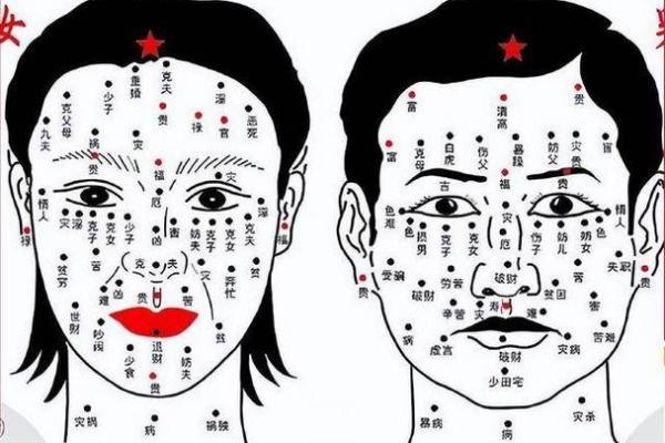 说谎者的神秘面相之谜