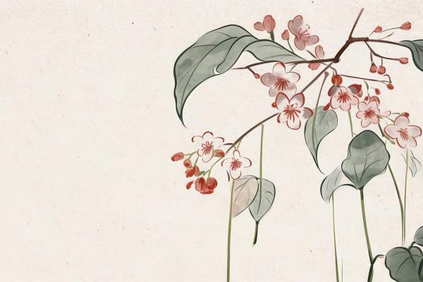 兰沁：古韵盎然，名字中的诗意之美