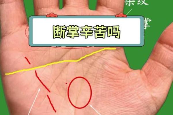 一掌定乾坤：手相断掌纹，揭秘你的运势与财富