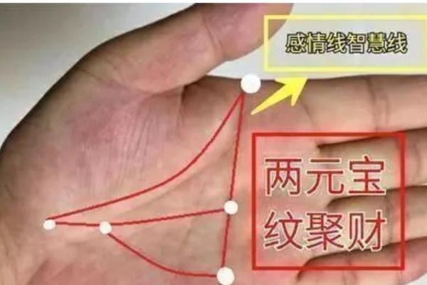 一掌定乾坤：手相断掌纹，揭秘你的运势与财富