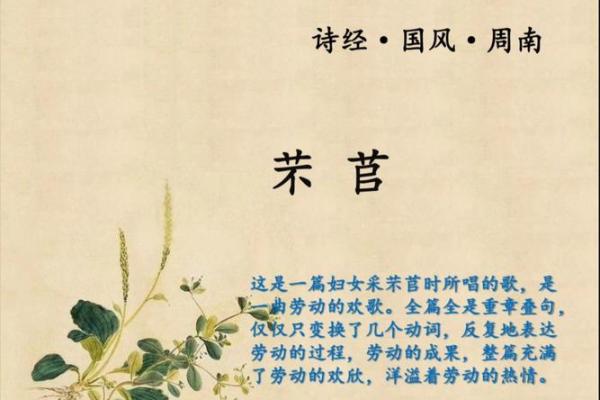 嫮名字的文化含义与历史渊源