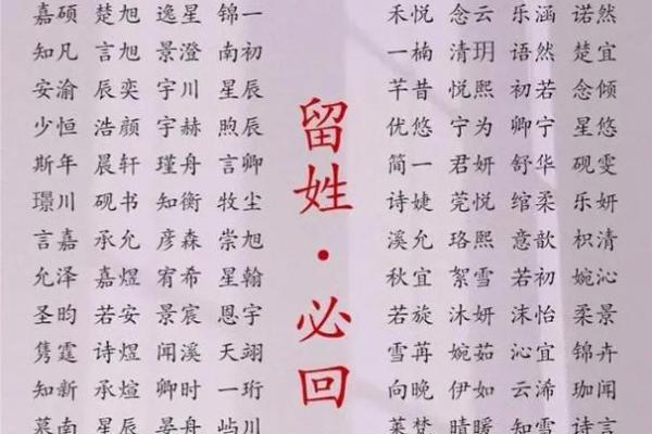 嫮名字的文化含义与历史渊源