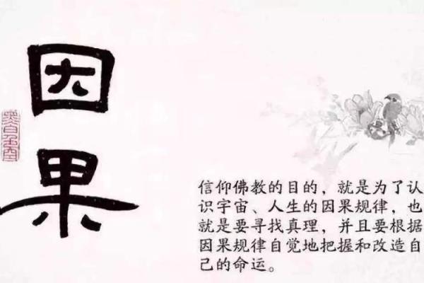 揭秘邵伟华命理：精准预测未来，改变命运的艺术