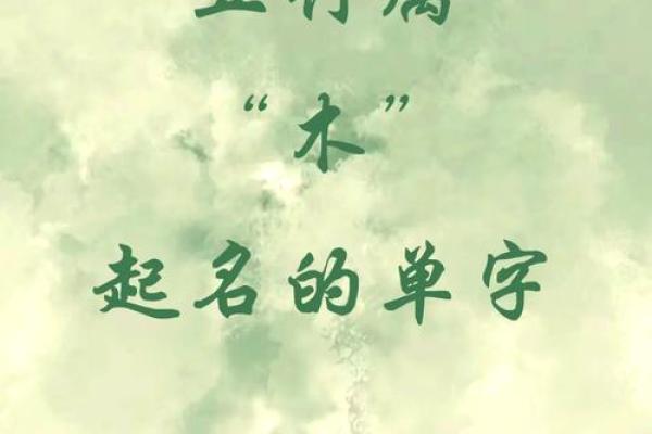 五行木气盈盈，女宝宝名字精选